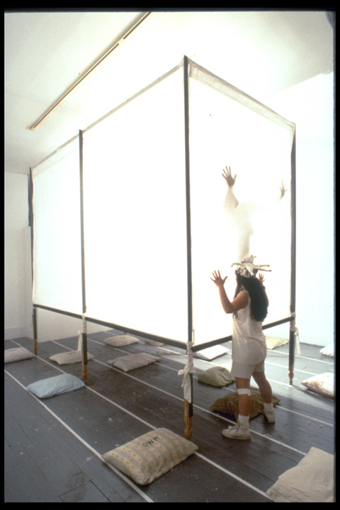 Micki Watanabe Spiller Princess Studies Mixed Media Installation and Performance