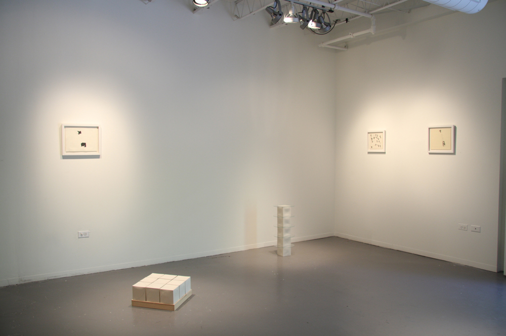 Mie Kongo 2014 - "Circle in a square" at Hyde Park Art Center, Chicago, IL 
