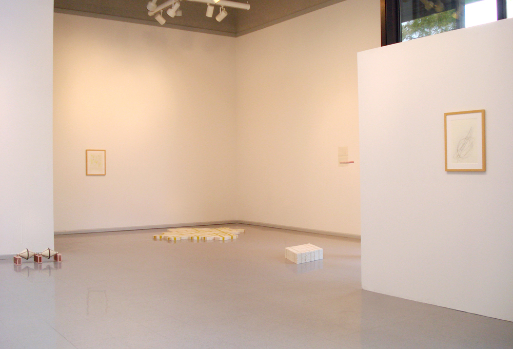 Mie Kongo 2012 - "I saw the light was on" at Heuser Art Gallery, Bradley University, Peoria, IL 