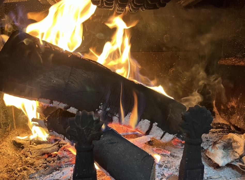 Firewood log #1, detail