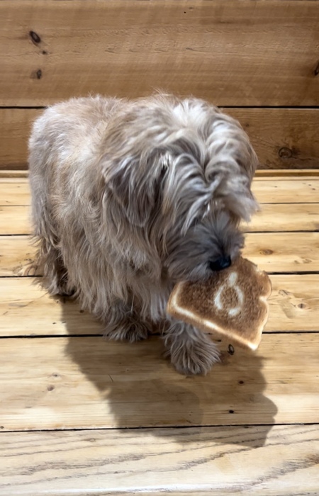 Wishbone Toast, detail