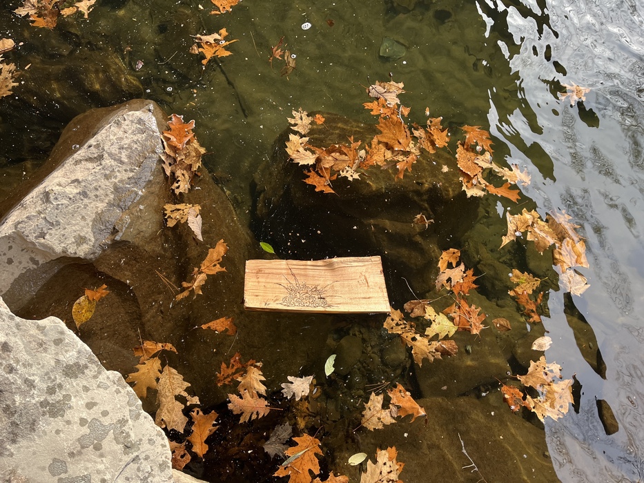 Explosion Sawkill Creek 