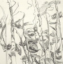 Mimi Oritsky Drawings  graphite on paper