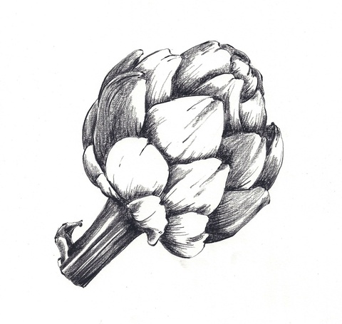  V is for Vegetables, cookbook drawings 