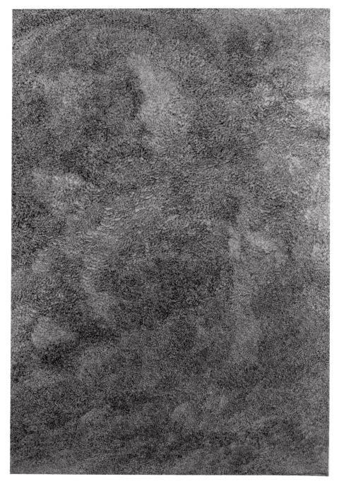 MINDY DUBIN RHYTHMS compressed charcoal on paper