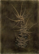 MINDY DUBIN CACTI + SUCCULENCE ink and pastel on paper