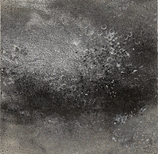 MJ KING Stellarflora Series Mixed Media: charcoal, powdered graphite, liquid silver, iron glitter, on paper