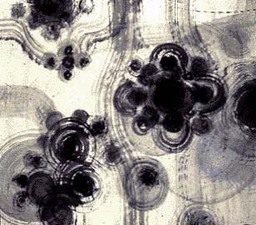  Swirl Series 