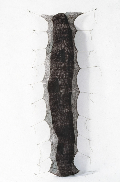 MO  KELMAN Things Still Here series shibori dyed and shaped silk, paper, india ink, cotton cord
