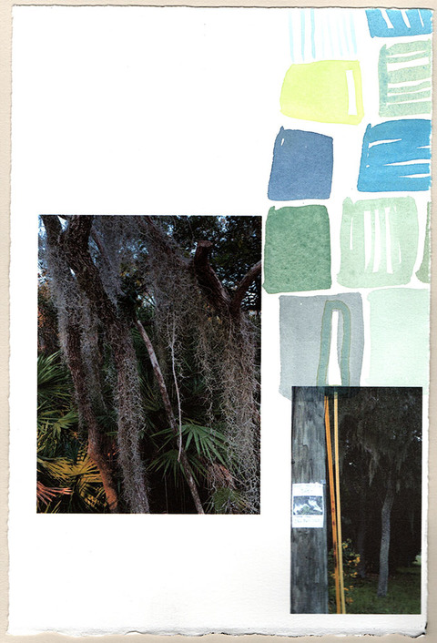 Mollie Murphy This is Florida photocollage, watercolor on paper