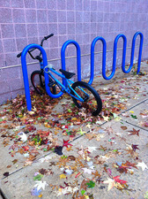 bike, rack, leaves
