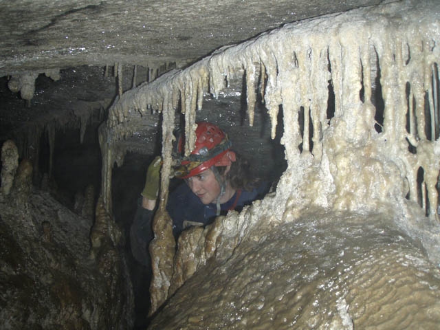 MOLLY RAUSCH Roos' Habitat-Fotomat Tunnel 