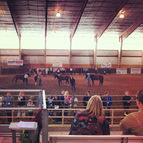 Horse show