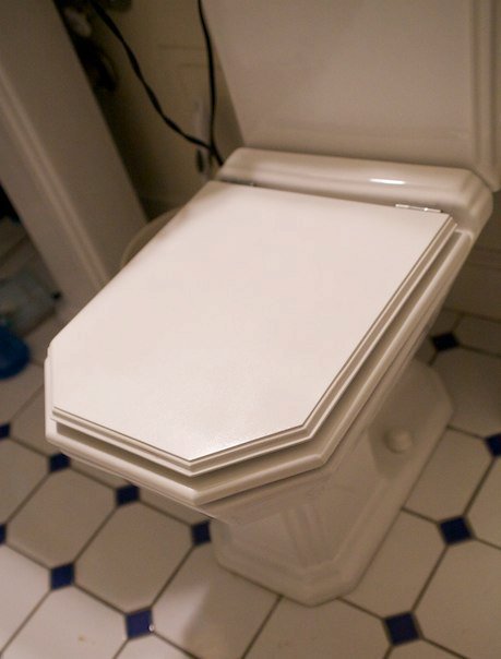 Custom toilet seat