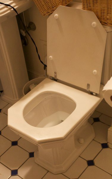 Custom toilet seat