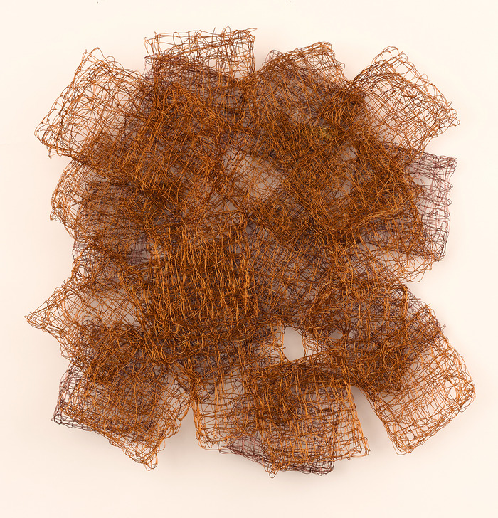 Nancy Koenigsberg Wall pieces Coated copper wire