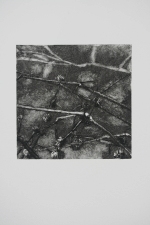 Nancy McTague-Stock  Solar Etchings, Monotypes Drypoint