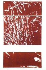 Nancy McTague-Stock  Solar Etchings, Monotypes Solar Etching