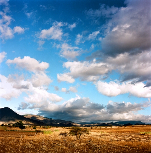 Milpa, Teotitlan del Valle Outskirts