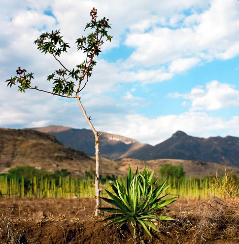 Teotitlan del Valle Outskirts