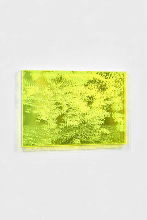 NATALYA BURD "Leaves of Grass" plexiglass, acrylic, interference paint