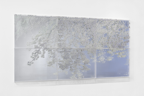 NATALYA BURD "Leaves of Grass" acrylic, plexiglass