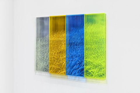 NATALYA BURD "Leaves of Grass" acrylic, plexiglass, mirror plexiglass