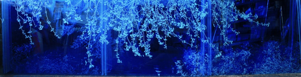 NATALYA BURD "Continuum & Flax" acrylic, 2 layers of blue transparent plexiglass, plexiglass mirror