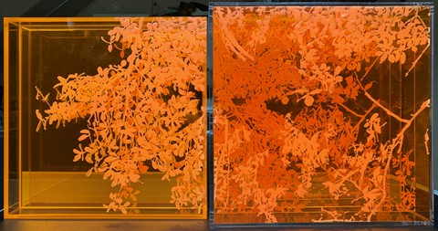 NATALYA BURD "Continuum & Flax" acrylic, 2 layers of orange and clear transparent plexiglass, plexiglass mirror