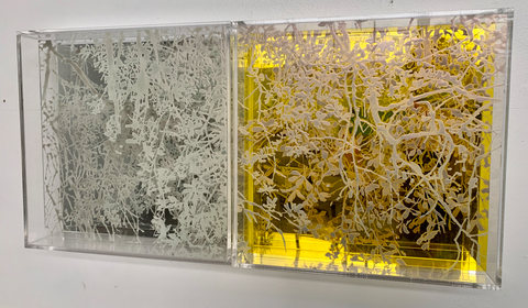 NATALYA BURD "Continuum & Flax" acrylic, two layers of plexiglass, plexiglass mirror
