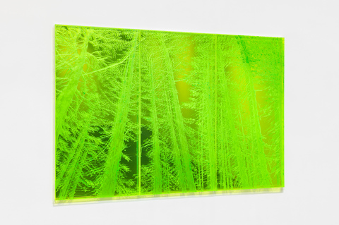NATALYA BURD "electric wonderland" acrylic, plexiglass, mirror