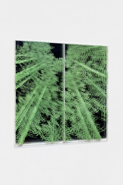 NATALYA BURD "electric wonderland" acrylic,  clear plexiglass, mirror