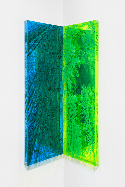 NATALYA BURD "electric wonderland" acrylic, plexiglass, mirror