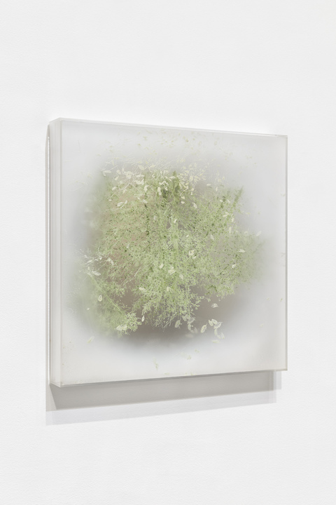 NATALYA BURD "electric wonderland" acrylic, double layer plexiglass, mirror