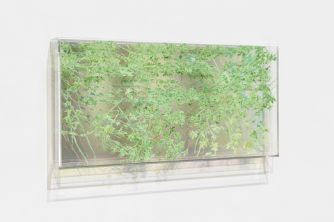NATALYA BURD "electric wonderland" acrylic, double layer plexiglass, mirror
