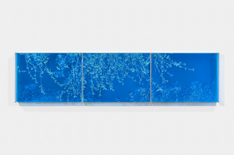 NATALYA BURD new work "odyssey" acrylic, two layer plexiglass, plexiglass mirror