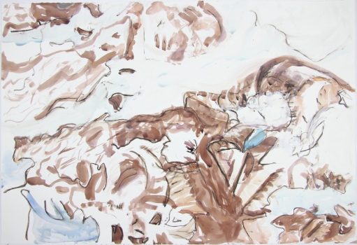 Nicole Ouellette Moving at a Glacial Pace Ink, gouache and pastel on paper