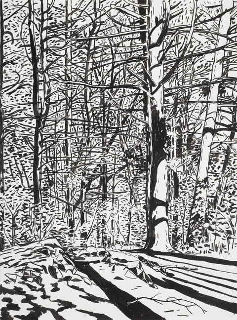 Niels Burger Black and Blue Ink on paper