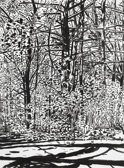 Niels Burger Black and Blue Ink on paper