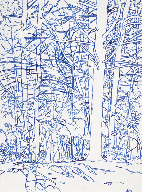 Niels Burger Black and Blue Ink on paper