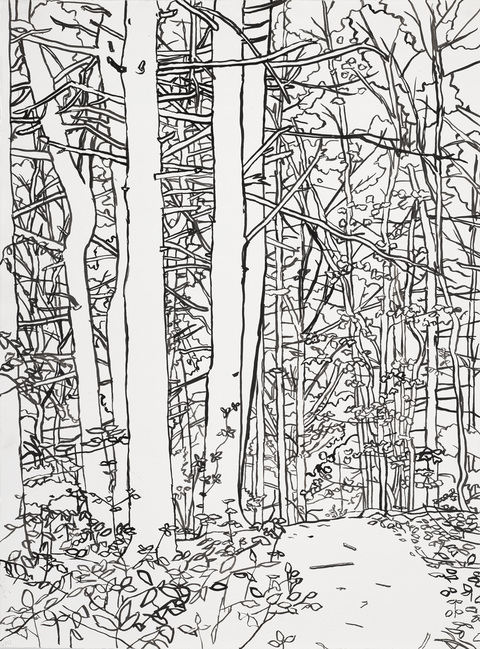 Niels Burger Black and Blue Ink on paper