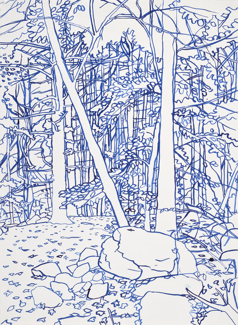 Niels Burger Black and Blue Ink on paper