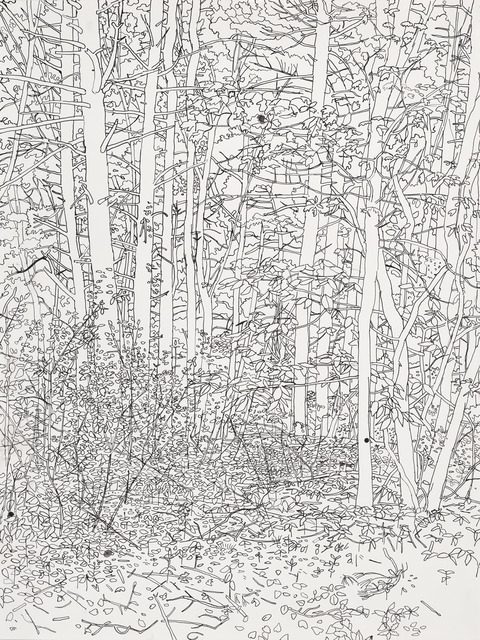 Niels Burger Black and Blue Ink on paper