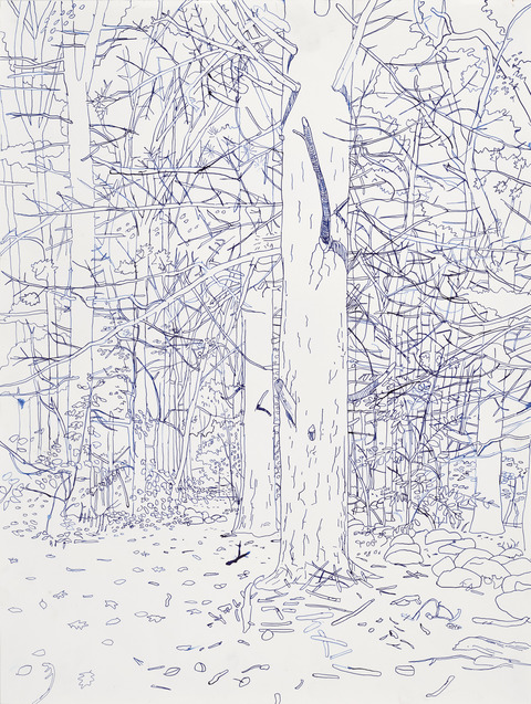 Niels Burger Black and Blue Ink on paper