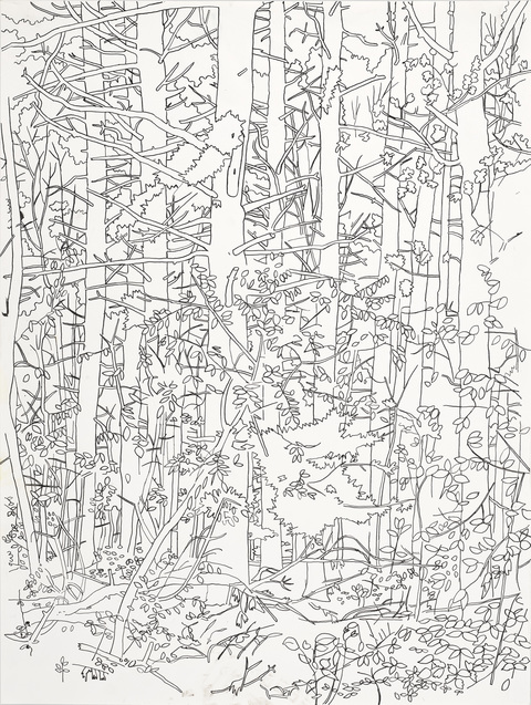 Niels Burger Black and Blue Ink on paper