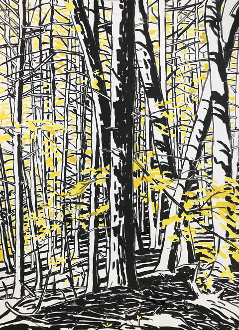 Niels Burger Black and Yellow Ink on paper