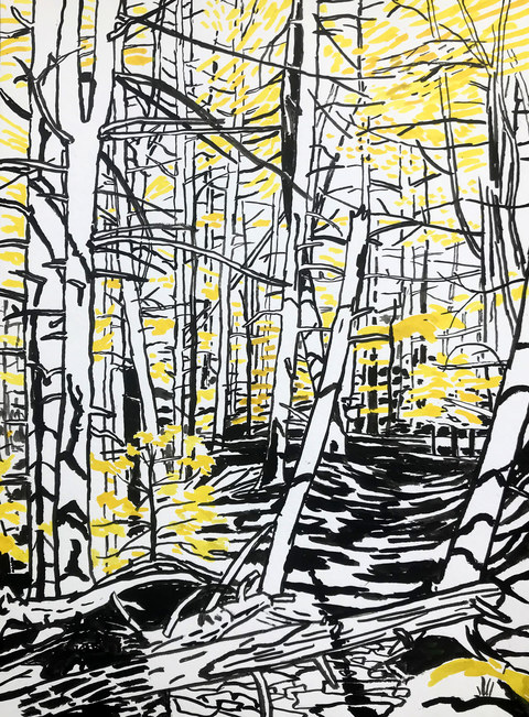 Niels Burger Black and Yellow Ink on paper