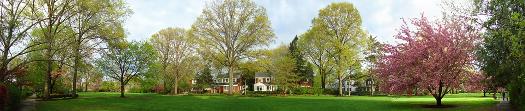 Norman J Barta Landscape Variations 