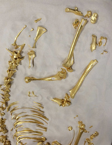 Nancy Wyllie Video Sculpture & Installation 22k carat gold leaf and fawn bones denuded over a five year period on bed of sand and linen