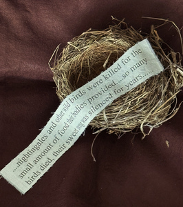 Nancy Wyllie Video Sculpture & Installation Text printed on fabric with birds nest